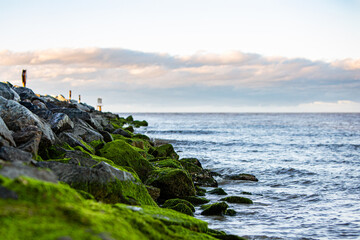 moss covered rock jetty Atlantic Ocean coastline