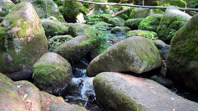 Wanderung durch "Die H&ouml;lle" H&ouml;llbachtal im Bayerischen Wald Niederbayern Deutschland