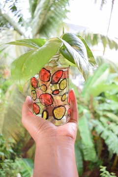 glass painting