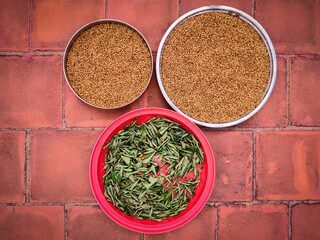 Curry leaves and coriander seeds kept on plates. South Indian type method