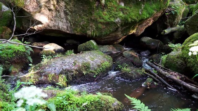Wanderung durch "Die H&ouml;lle" H&ouml;llbachtal im Bayerischen Wald Niederbayern Deutschland
