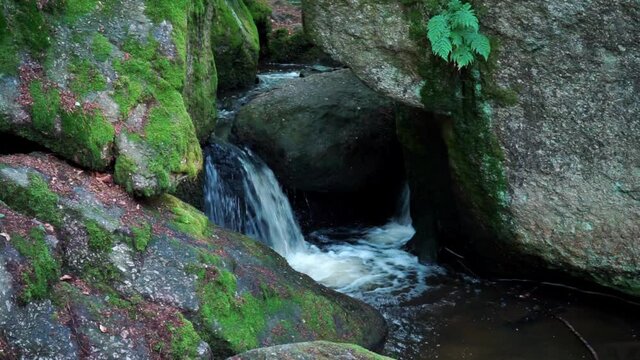 Wanderung durch "Die H&ouml;lle" H&ouml;llbachtal im Bayerischen Wald Niederbayern Deutschland
