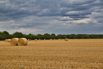 Fototapeta premium Feld nach der Ernte