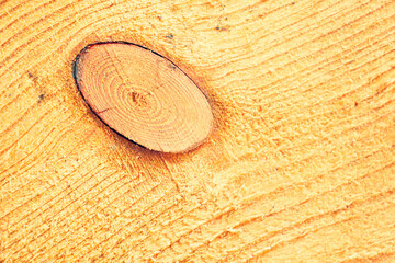 The longitudinal sawed down the tree. Dry wooden board. Lines of annual tree rings.