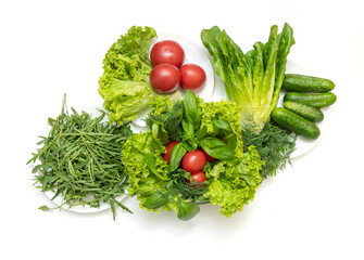 Fresh vegetables for salad, cucumbers, red tomatoes, arugula, green basil and celery leaves, lettuce and romaine.