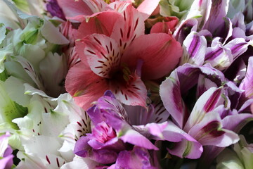 close up of colorful flowers background