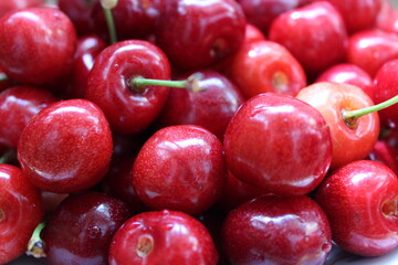 Fresh, red cherries on a colorful background