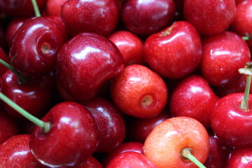 Sweet, red cherries on a cherry background