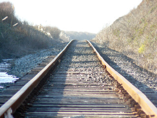 Dead track at California pacific coast