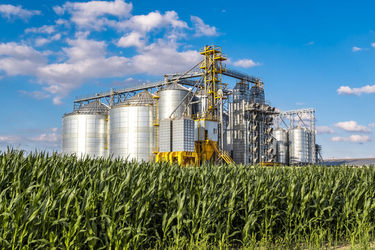 Modern Granary elevator. Silver silos on agro-processing and manufacturing plant for processing drying cleaning and storage of agricultural products, flour, cereals and grain.