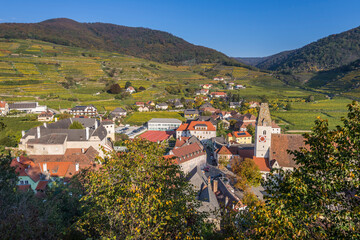 Obraz premium Autumn colors in the vineyards of Spitz town in Wachau Valley, Austria