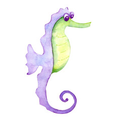 seahorse