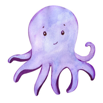 octopus