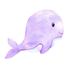 whale