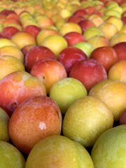 colorful prunes in a market