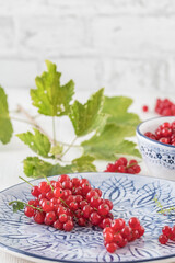 Red currants on a blue and white decorated porcelain plate and in a bowl on white wooden table, decorated with currants branches. Vertical stock photo.