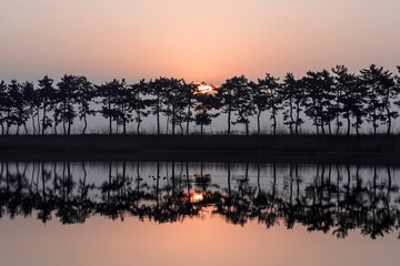The beautiful landscape of tree line silhouette and reflection on the water in sun risetime.