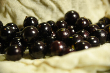 Jabuticaba (Myrciaria cauliflora) fruits clustered on top of a burlap cloth on a light background