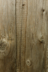 wood texture. background old panels. retro vintage wood texture