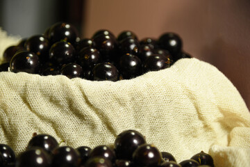 Jabuticaba (Myrciaria cauliflora) fruits clustered on top of a burlap cloth on a light background