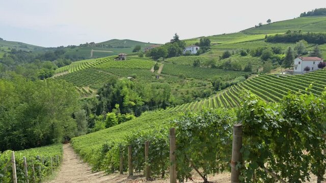 Pan View Of Vineyards Around Barolo, Langhe, The Famous Italian Wine