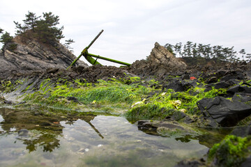 Beautiful green seaweed algae mossy on the abandoned anchor background sand wave,island and blue sky.