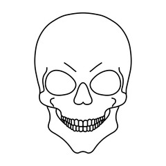 Skull human made of black contour lines on a white background. vector illustration.