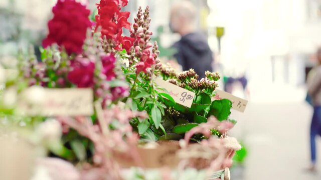 Flower shop with beautiful bouquets and potted flowers