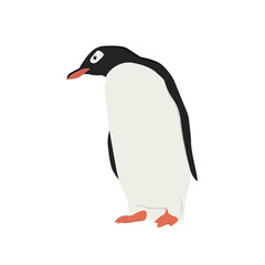 Penguin Illustration