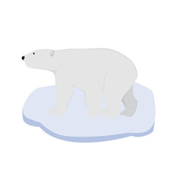 Polar Bear Illustration