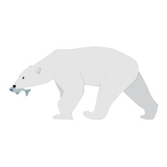 Polar Bear Illustration