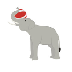 Elephant Illustration