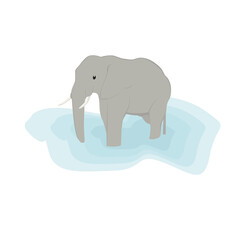 Elephant Illustration