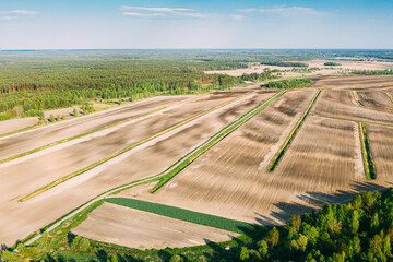 Aerial View Spring Empty Field With Windbreaks Landscape. Top View Of Field And Forest Belt. Drone View Bird's Eye View. A Windbreak Or Shelterbelt Is A Planting Usually To Protect Soil From Erosion.