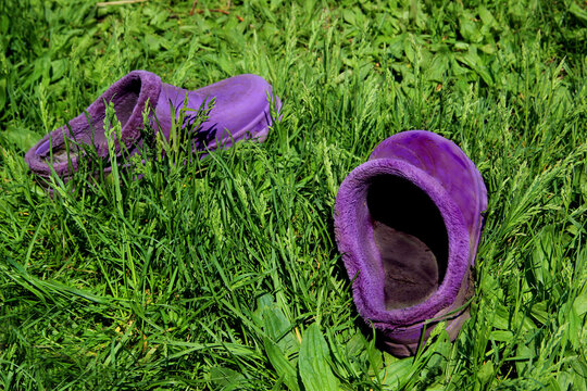 Funny image of a slipper on the grass. Whoever would lose it?