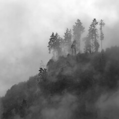 Nebelberg