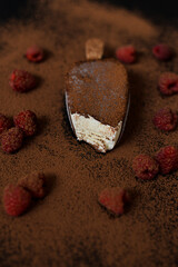 Ice cream covered with chocolate  laying on the dark cacao background with raspberry