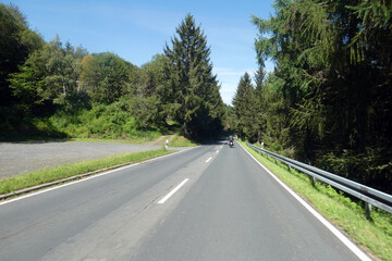 Fototapeta premium road in the forest