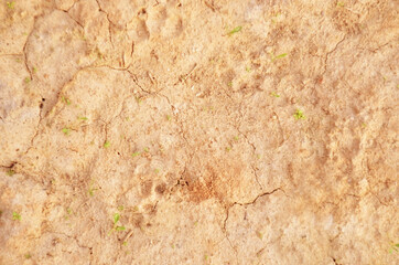 Yellow crumbly sand. Dry soil texture and background. Background of the red soil. Abstract land. Natural abstraction. Clay. Texture. Background. Construction. Copy space. Sand is dry, with cracks