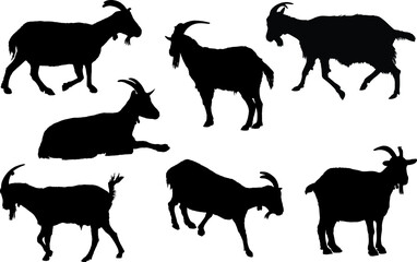 Goat silhouette collection. Rural farm animals on a white background