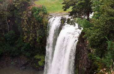 Fototapeta na wymiar Whangarei Falls, New Zealand