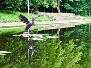 Metalowy żuraw. © Michael Naszkiewicz