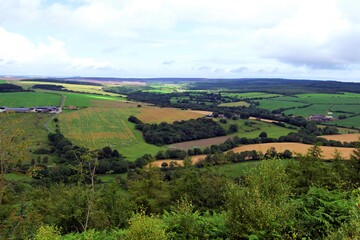 Farmland and moorland view of Harwood Dale, from Broxa Forest, in North Yorkshire, England.