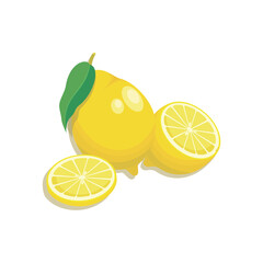 Lemon fruit. Vector slices oranges that are segmented. Citrus. Poster, emblem, illustration fruit 