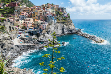 Fototapeta premium Aerial view of Manarola with an agave in foreground