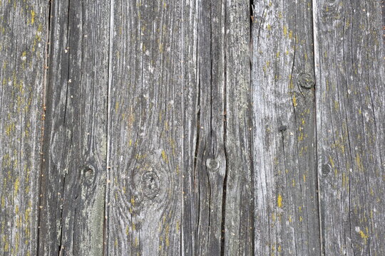 Rotten mossy wooden planks close up, background image