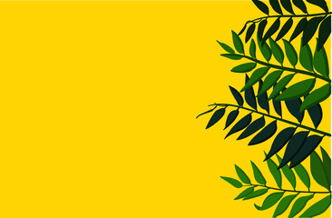 Fototapeta na wymiar green leaves on a yellow background