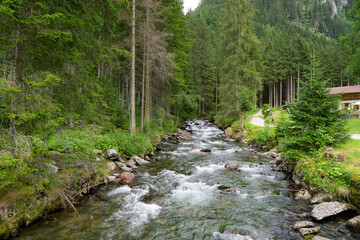 Fototapeta na wymiar river floating between trees and mountains
