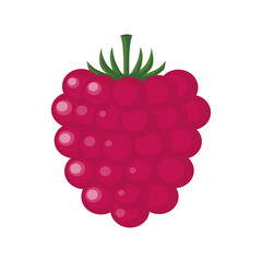 Fresh ripe raspberry on a white background. Tasty sweet fruit icon. Dessert. Red raspberries isolated close up. Forest berry. Can be used as emblem, logo, web print, sticker. Vector illustration.