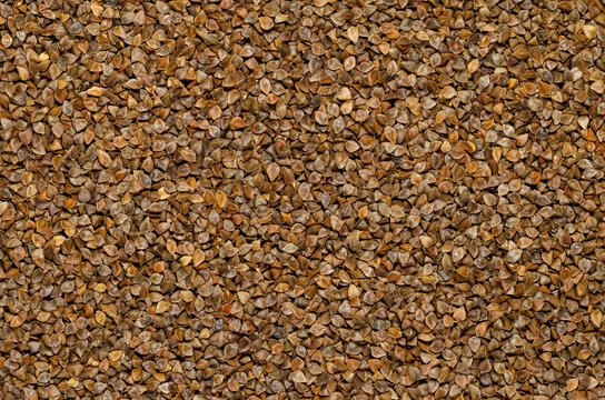 Common buckwheat seeds with husks, surface and background. Gluten-free pseudocereal with grain-like seeds, used as a cover crop. Fagopyrum esculentum. Food photo, top view, from above.